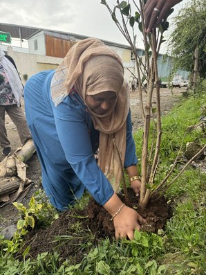 Green Legacy & Environmental Sustainability